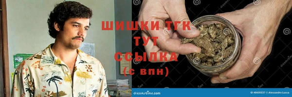 spice Елизово