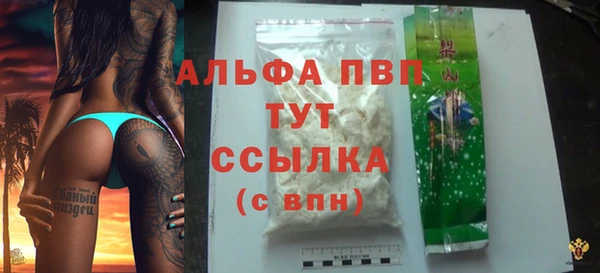 ГАЛЛЮЦИНОГЕННЫЕ ГРИБЫ Заводоуковск