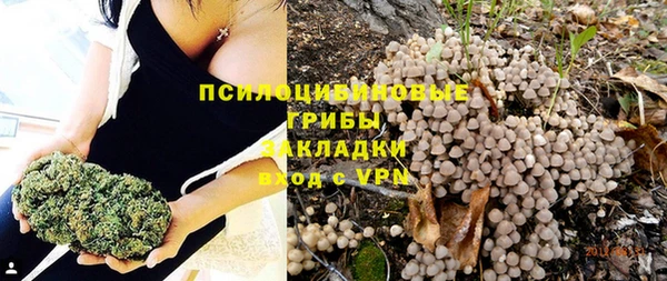 твердый Осташков