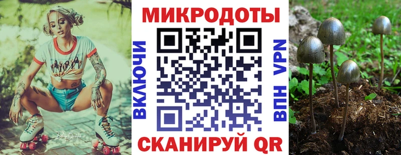 где можно купить   Петров Вал  KRAKEN вход  Галлюциногенные грибы MAGIC MUSHROOMS 